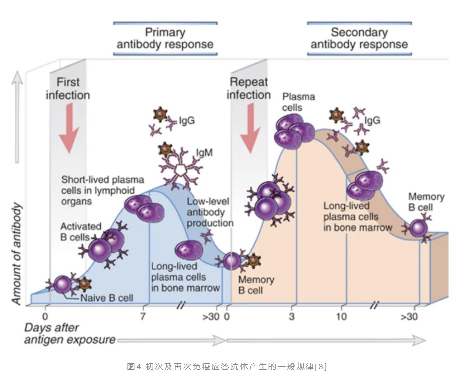 疫苗8.jpg